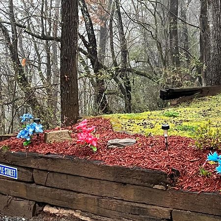 Twin Oaks Villa Bryson City Dış mekan fotoğraf