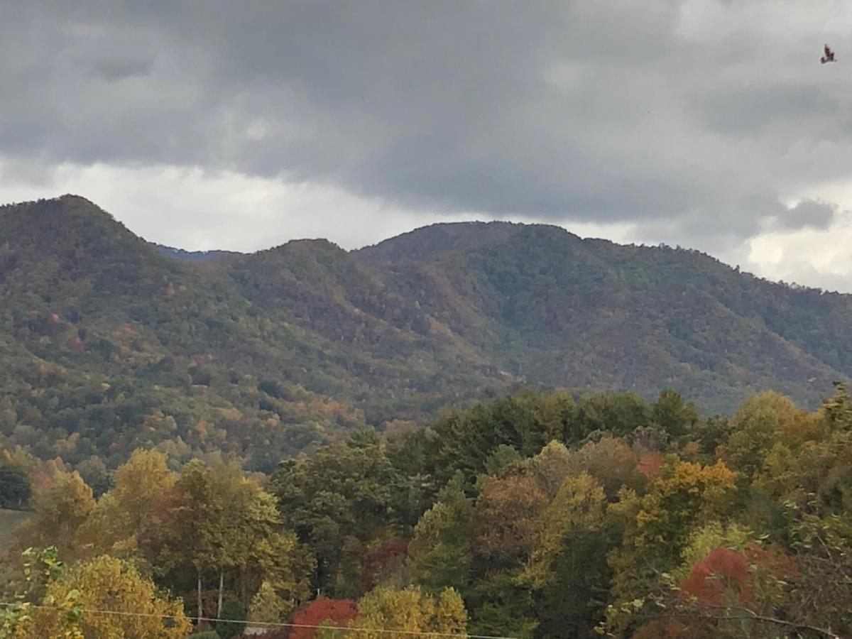 Twin Oaks Villa Bryson City Dış mekan fotoğraf