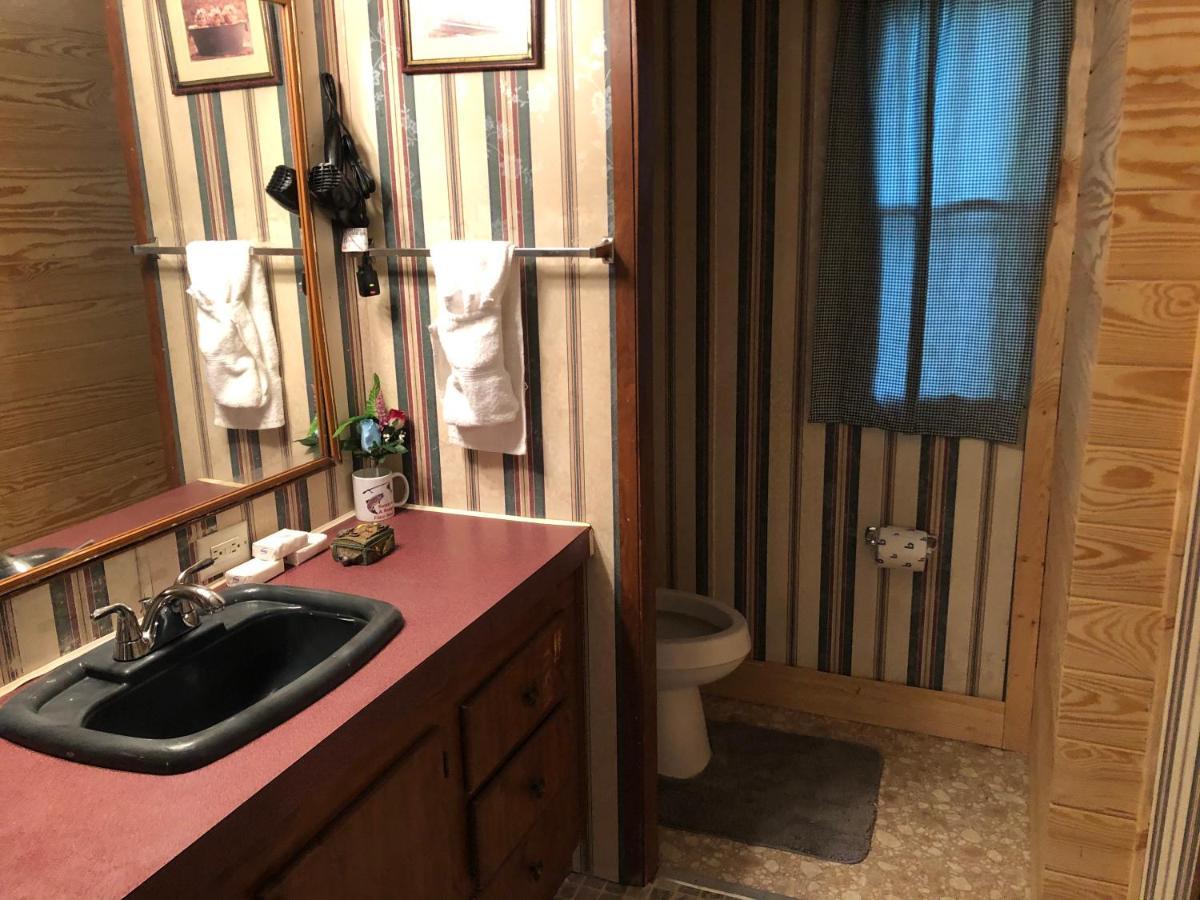 Twin Oaks Villa Bryson City Dış mekan fotoğraf